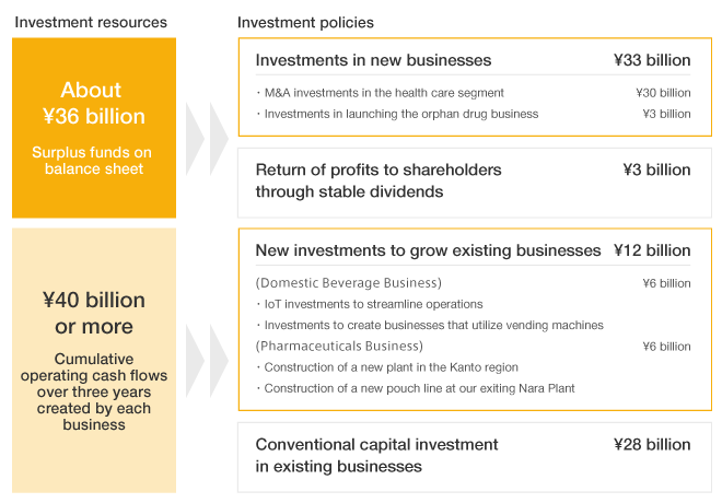 Investment Strategy
