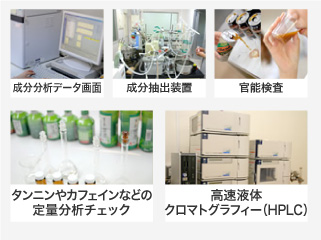 成分分析データ画面、成分抽出装置、官能検査、タンニンやカフェイン等の定量分析チェック、高速液体クロマトグラフィー(HPLC)-